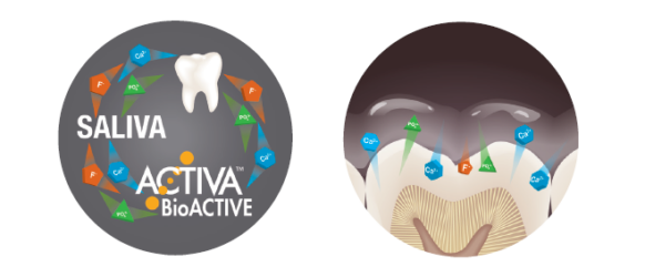 Top 5 Reasons Why ACTIVA™ BioACTIVE is Good for You